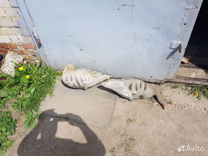 Чучела гусей