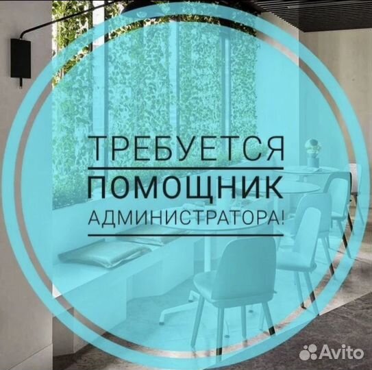 Помощник администратора