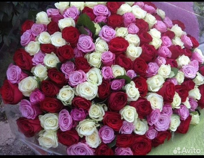 Доставка роз оптом как в розницу 2 раза в неделю