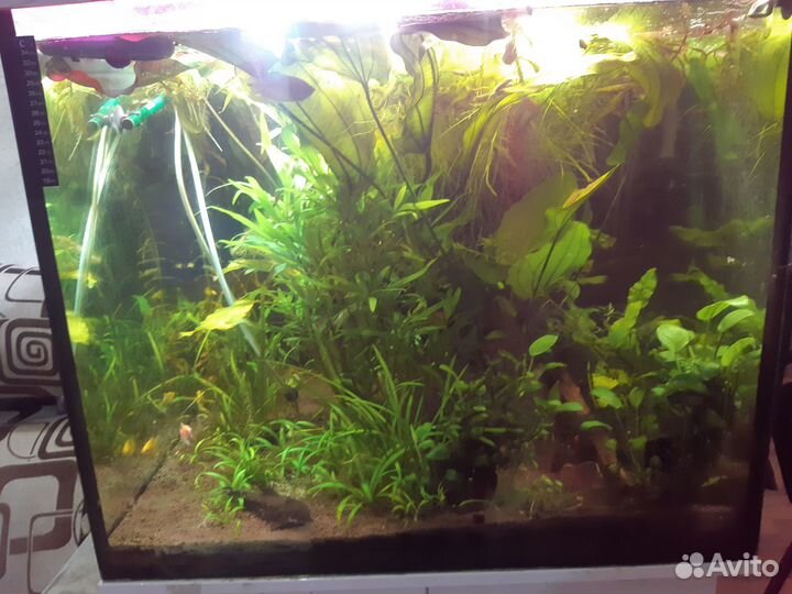 Аквариум с тумбой 300 литров