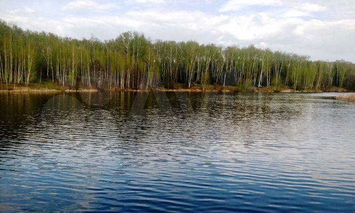 Участок 53 сот. (ИЖС)