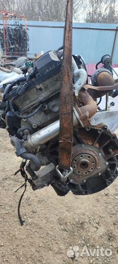 Двигатель Ford transit 2.4 tdci jxfa 2010