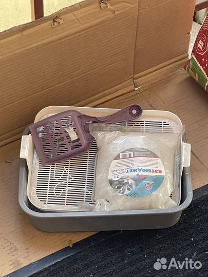 Лоток для кошек бесплатно