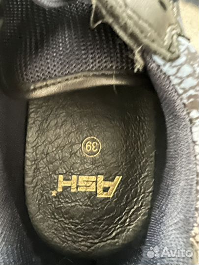 Кроссовки Ash