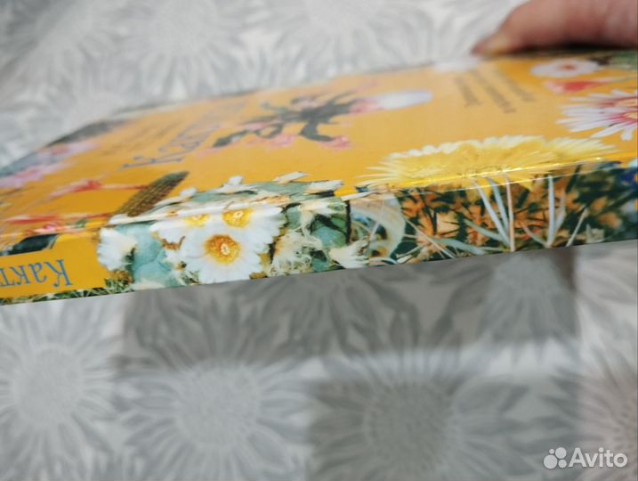 Книга Кактусы. Практические советы