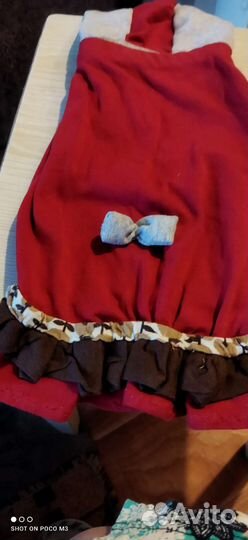 Вещи для маленьких собачек, ошейник кожаный