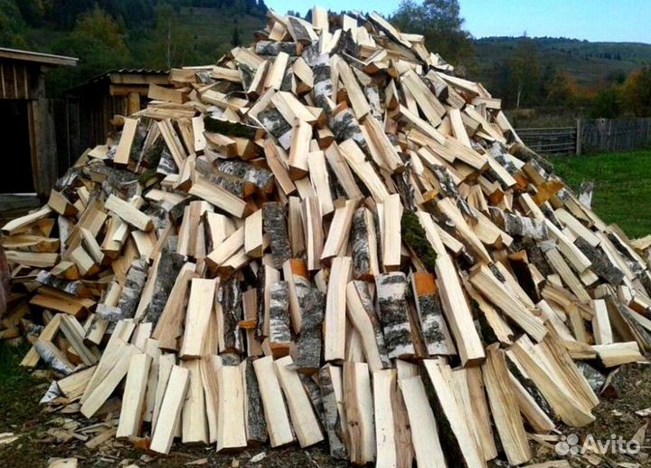 Дрова понимающих