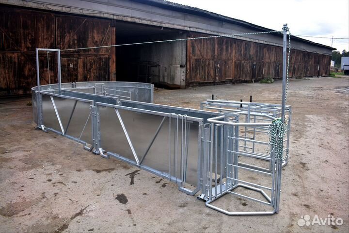 Овцы бараны козы сортировка раскол витамины стада