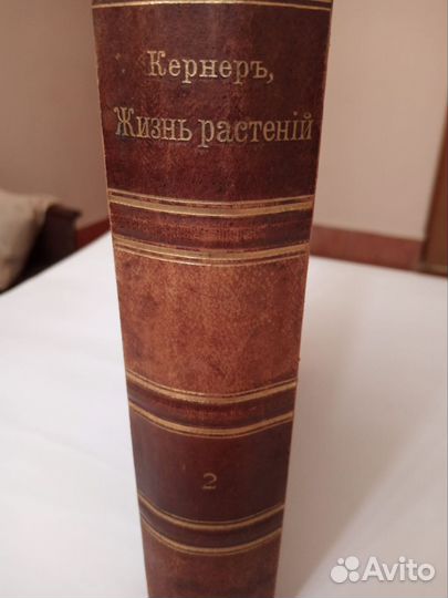 Книга растений. 2 том. Издание 1901 г А Кернер