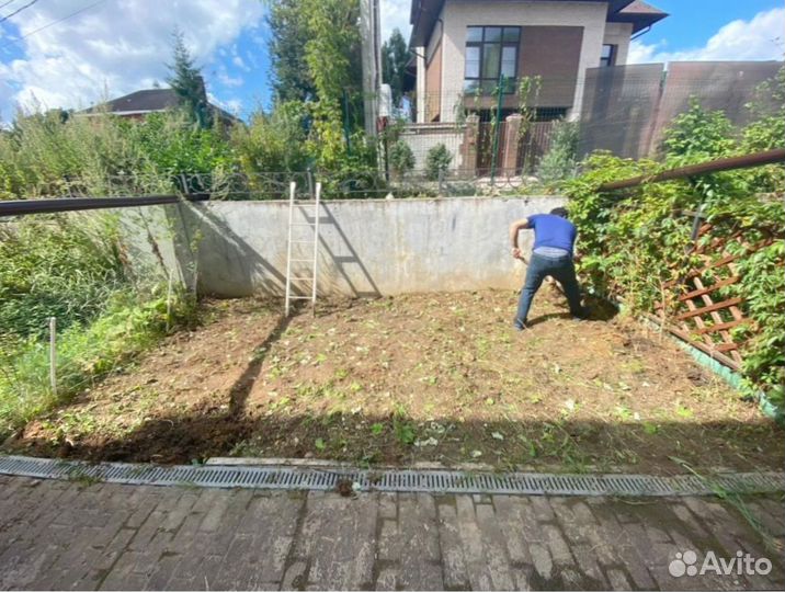 Рулонный газон для небольшого участка