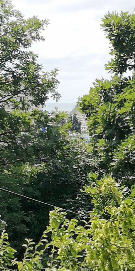 Комната 19 м² в 1-к., 3/4 эт.