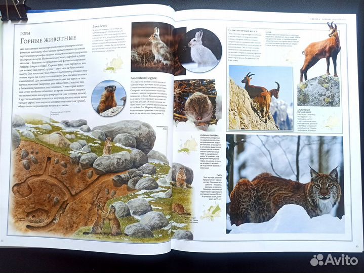 Атлас животного мира.(энциклопедия)