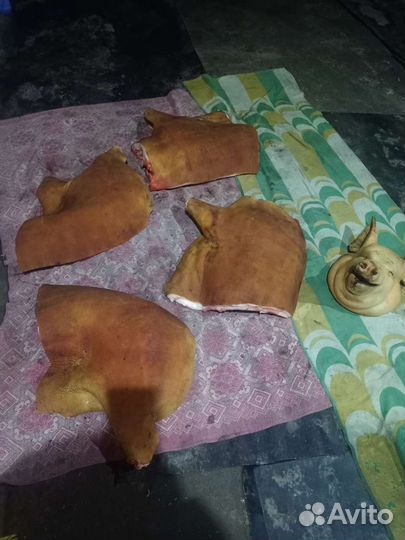 Домашняя свинина