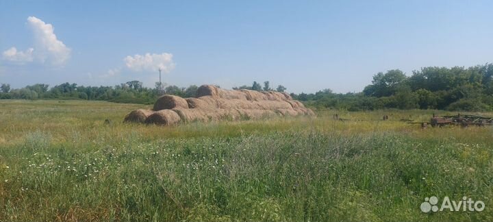 Сено в рулонах