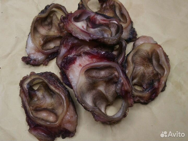 Лакомства для собак