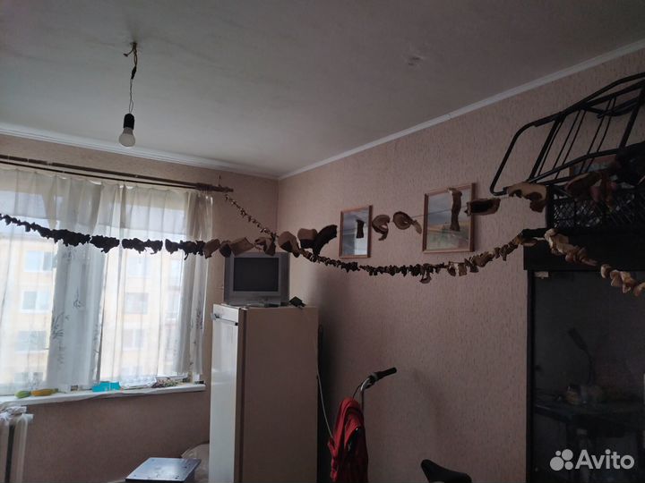 Сушеные грибы