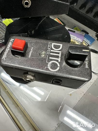 Tc electronic ditto looper