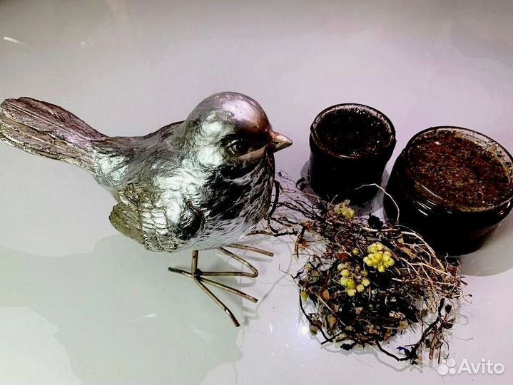 Медовый секрет мужского интимного здоровья