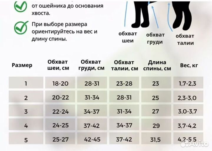 Одежда для собак мелких пород