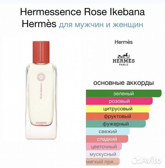 Hermes rose ikebana