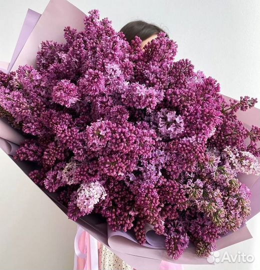 Сирень цветы