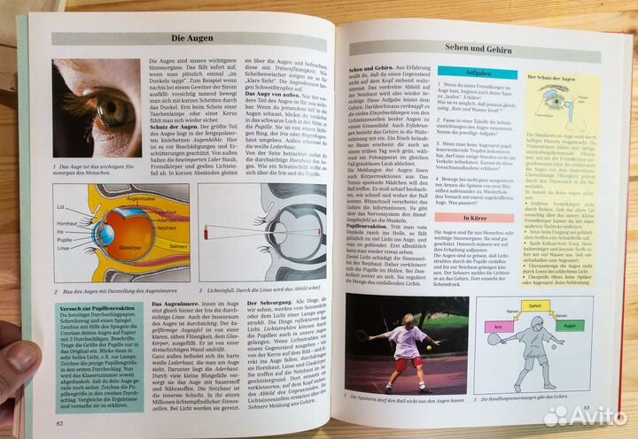 Учебник по биологии для немецкой школы