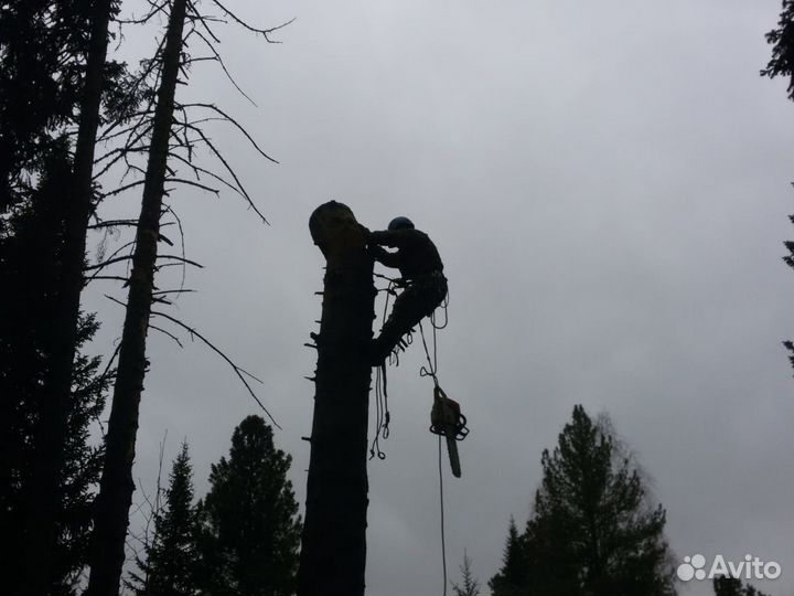 Спил деревьев любой сложности, по всей области