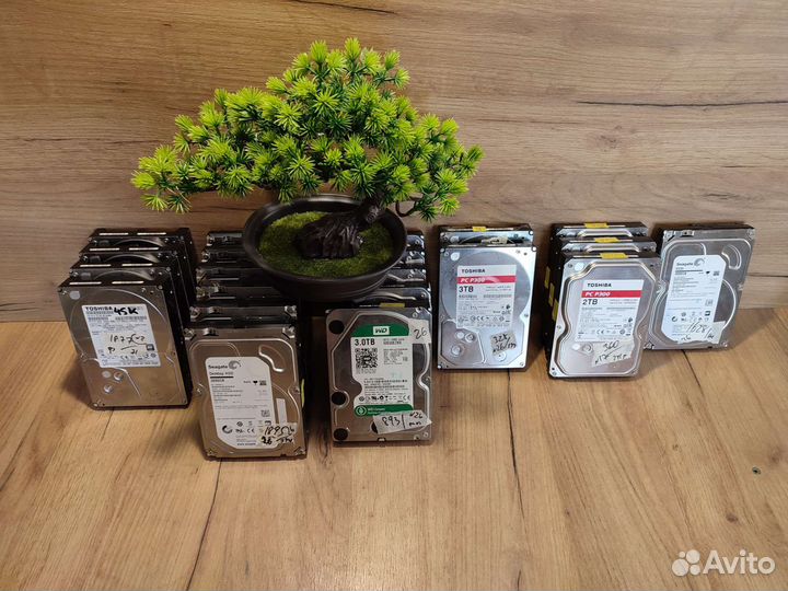 Жёсткие диски 3 Тб, опт/розница - безнал