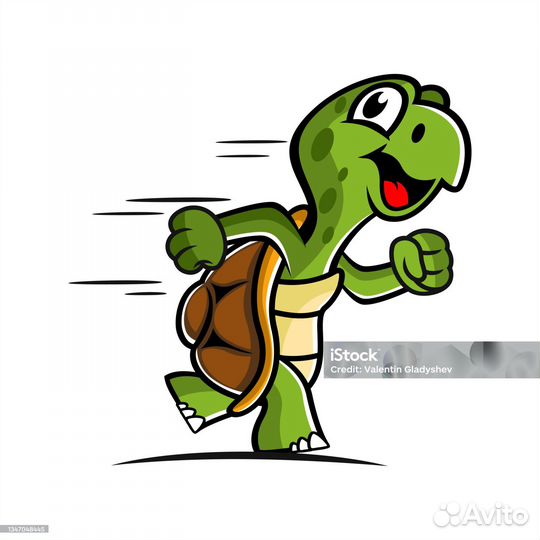 Черепашка маленькая