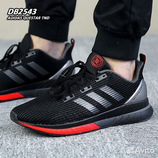 adidas questar TND DB2543