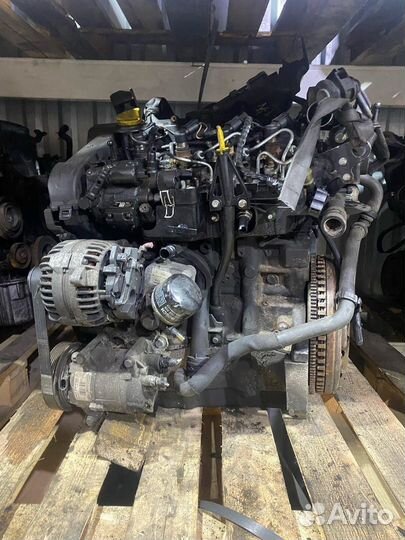 Двигатель 1.5dci K9K 732 282 renault Рено Кредит