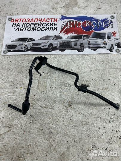 Трубка гидроусилителя руля/return pipe Kia
