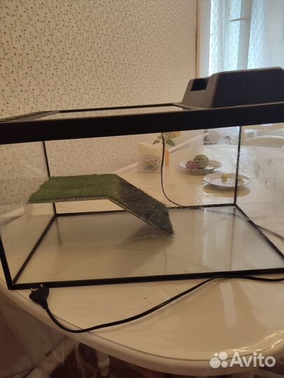 Террариум. Аквариум. Черепахи, змеи, пауки