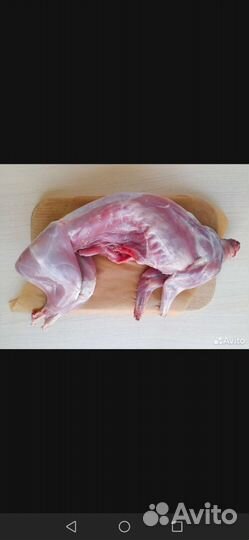 Кролики мясных пород