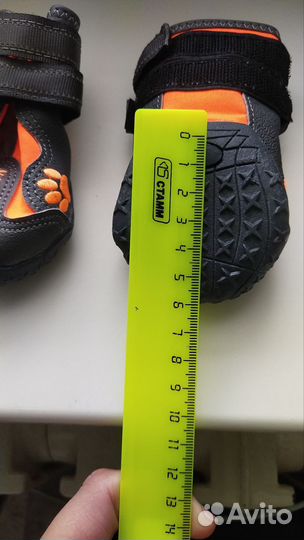 Обувь для собак