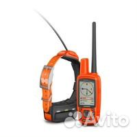 Garmin Alpha 50, Alpha 50/T5 Euro, Россия