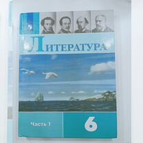 Учебники по литературе за 6 класс, 2 части