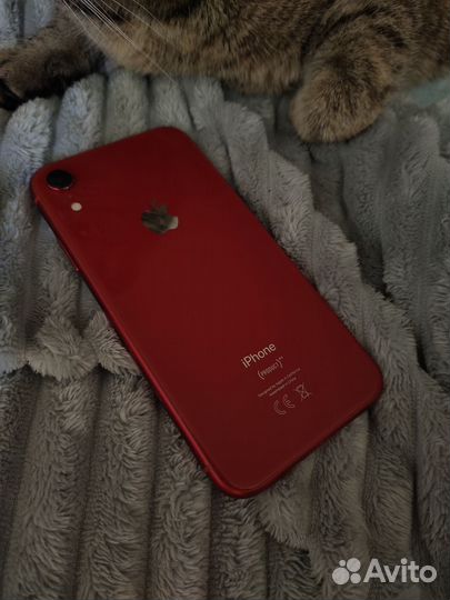 iPhone Xr, 64 ГБ