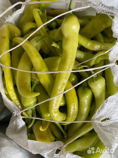 Перец цицак сладкий