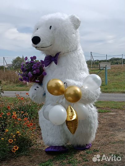 Белый мишка