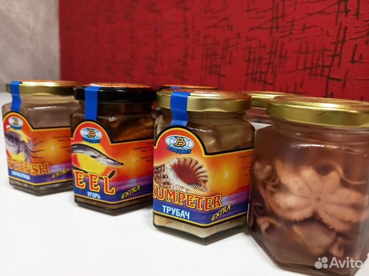 Угорь, трубач, каракатица, осьминоги