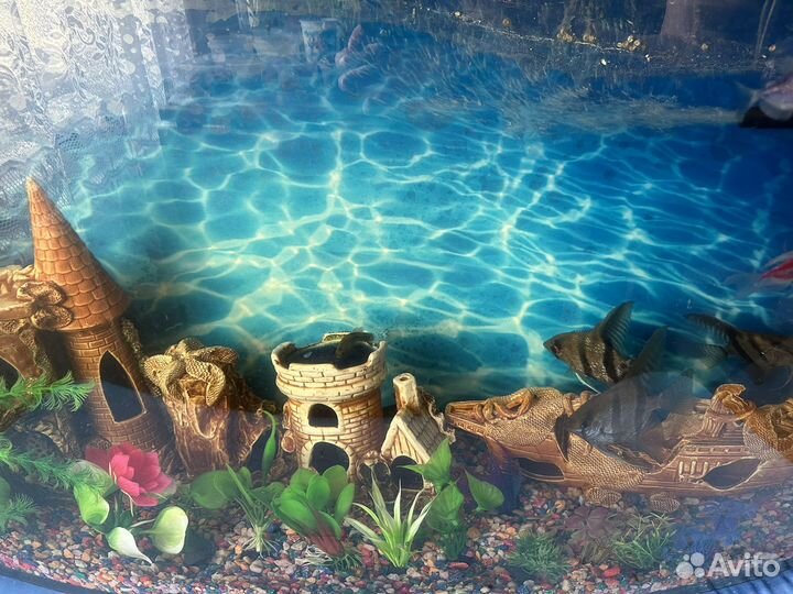 Аквариум