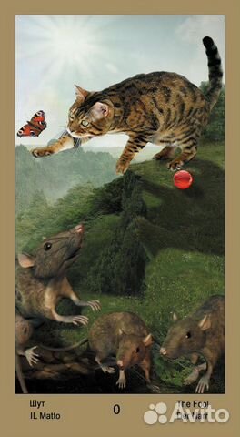 Карты Таро Катавасия и многие другие