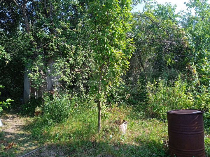 Дом 35 м² на участке 3 сот.