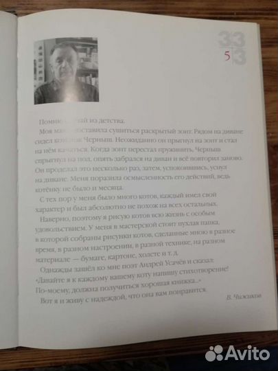 Книга 33 кота Виктор Чижиков