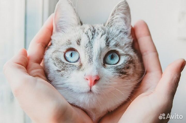 Камера видеонаблюдения с установкой