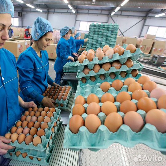 Упаковщик Вахта в Лен. область Премия