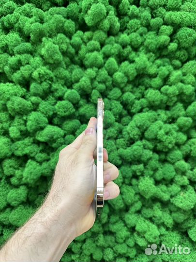 iPhone 12 Pro Max, 512 ГБ