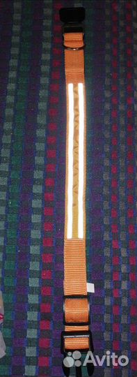 Ошейник для собак