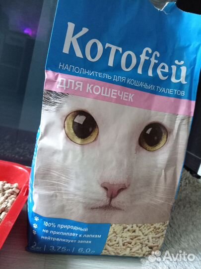 Лоток, наполнитель, миски 2, корм
